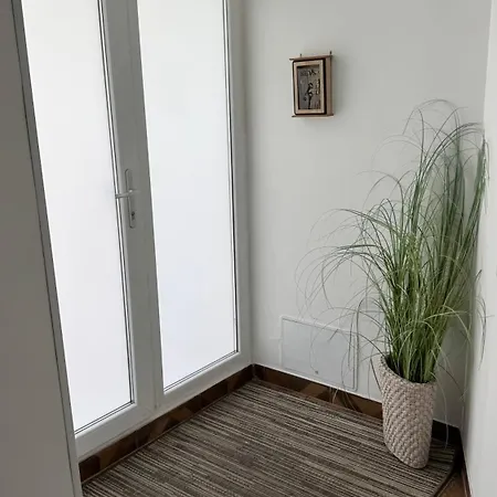 Santa Lucia ゲストハウス 4*